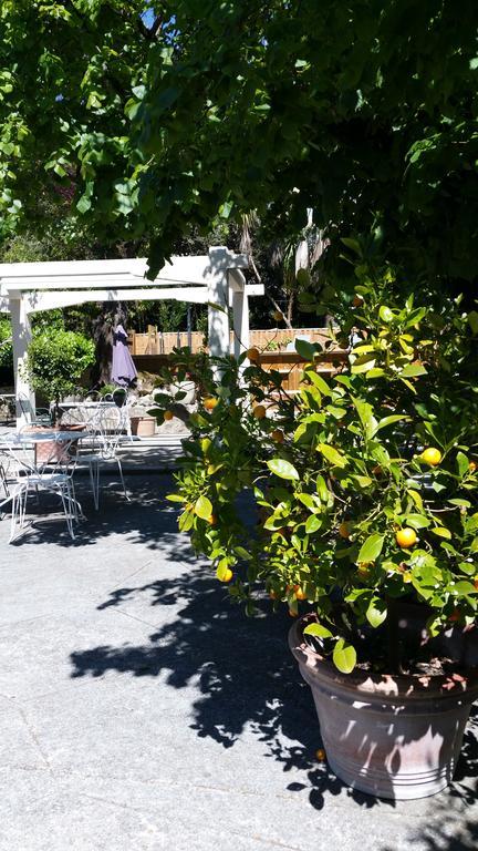 Le Clos Du Loup La Colle-sur-Loup Exteriör bild