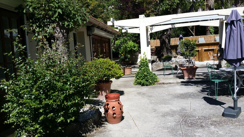 Le Clos Du Loup La Colle-sur-Loup Exteriör bild
