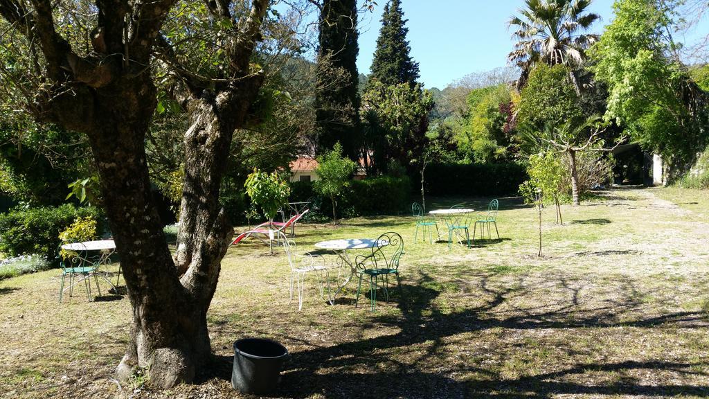 Le Clos Du Loup La Colle-sur-Loup Exteriör bild